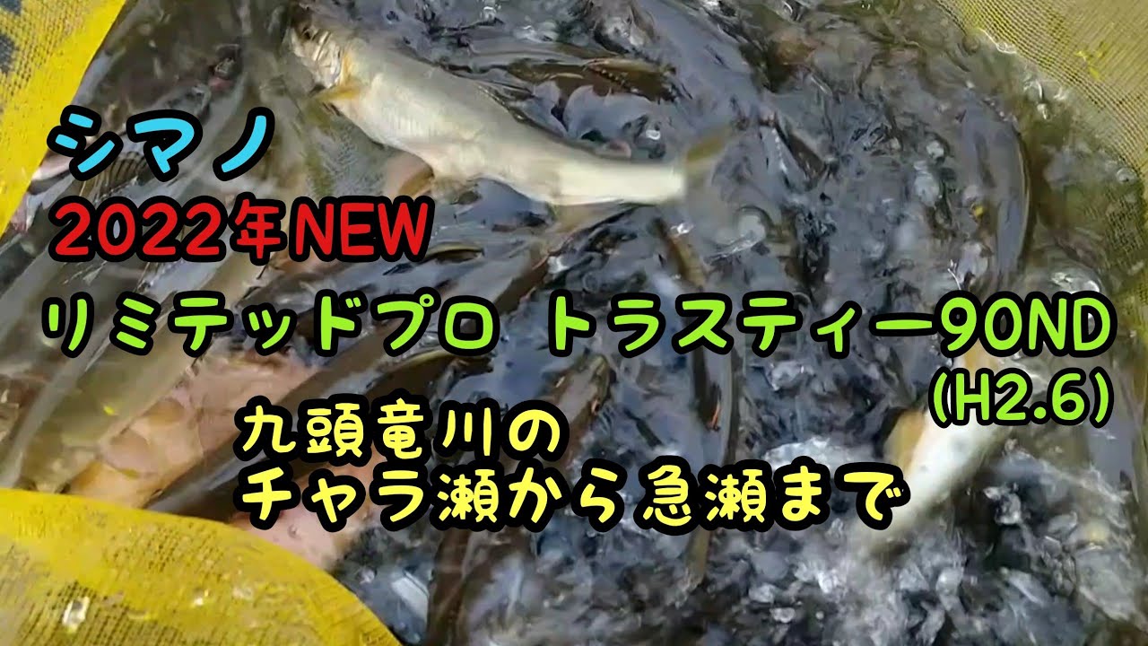 鮎釣り  九頭竜川の人気ポイントでチャラ瀬から急瀬までオールラウンドに釣る。