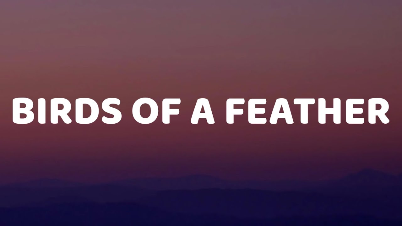 Billie Eilish - BIRDS OF A FEATHER