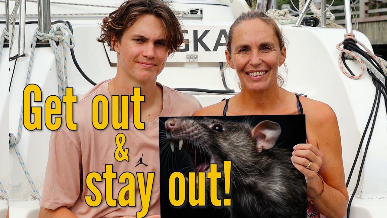 Evicting a stowaway - Sailing Thailand