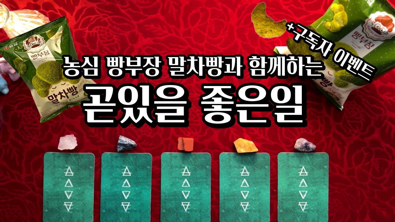 [타로] 곧있을 좋은일 💖 빵부장 구독자 이벤트