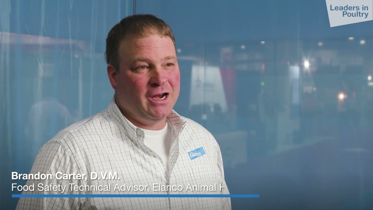 Food Safety Trends in Poultry Production
