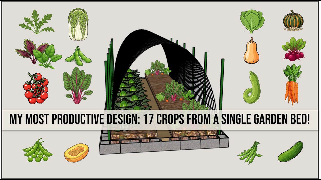 My Most Productive Garden Bed Design: 17 Crops, Across Four Seasons, from a Single Bed!
