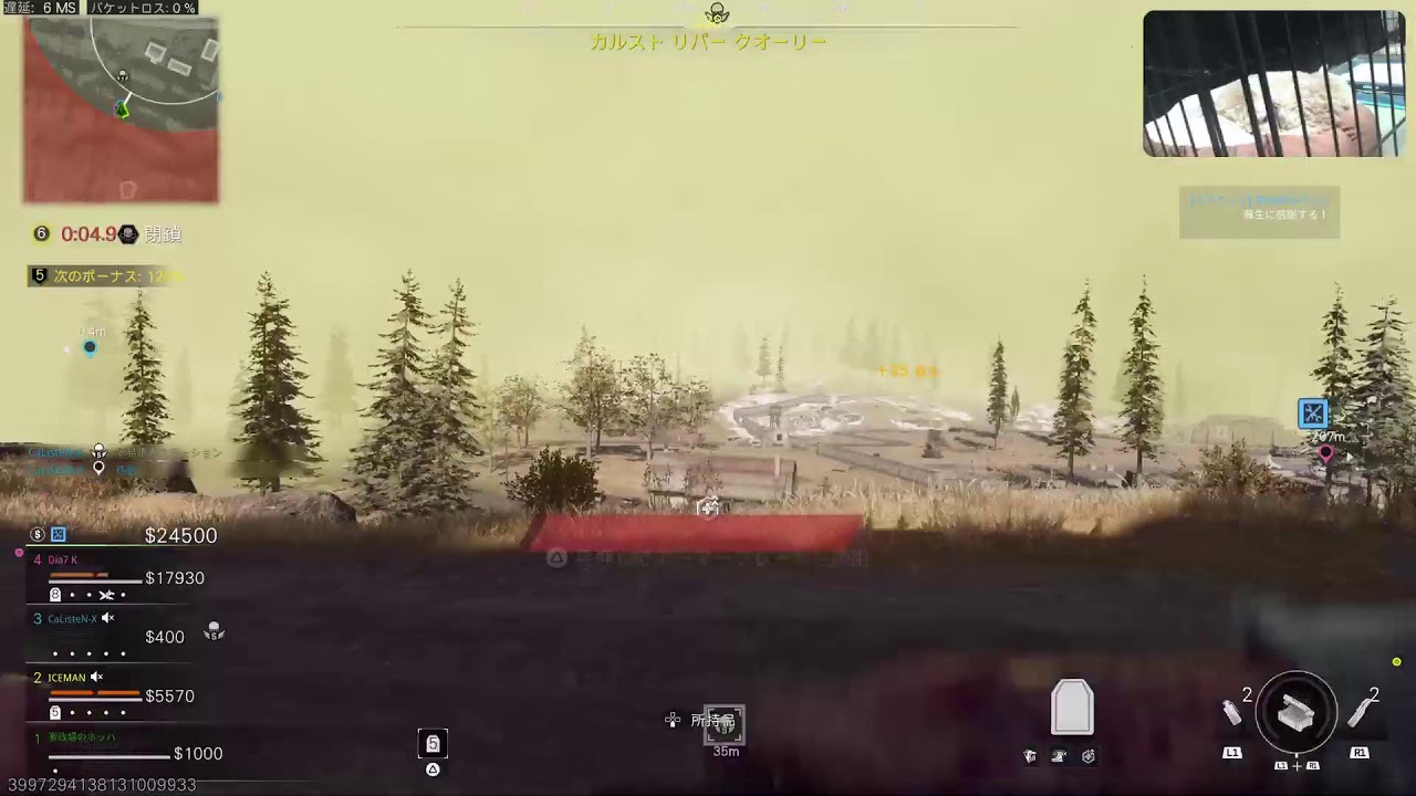 WARZONE　トイプードル見ながら