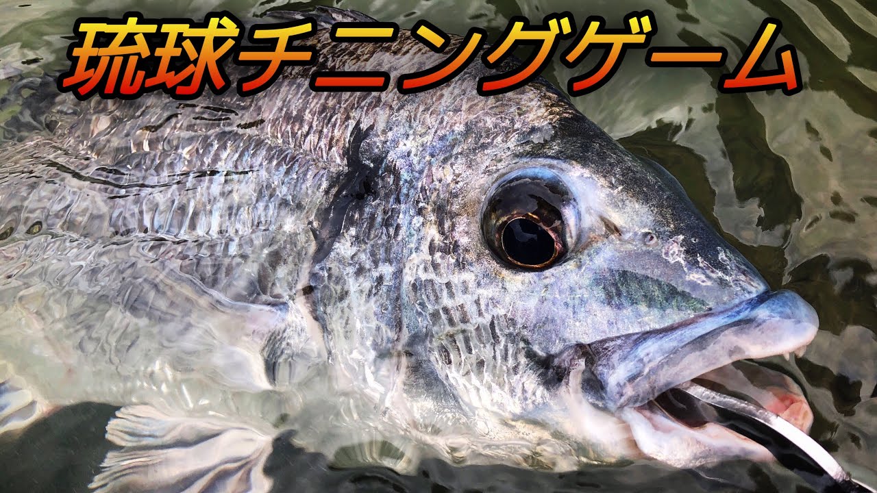 #沖縄ルアー #チニング 沖縄チニングゲーム