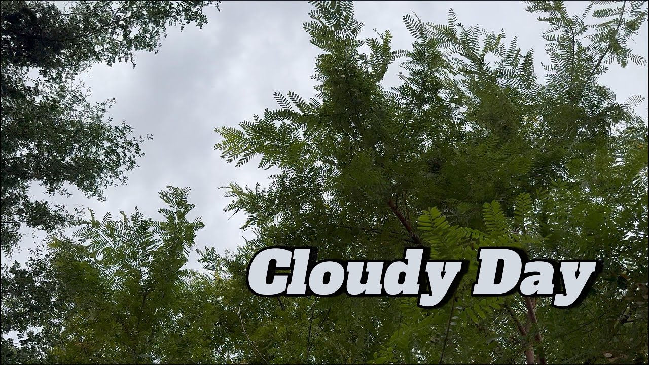 Cloudy and Windy Day for Relaxation | Steady Lounge