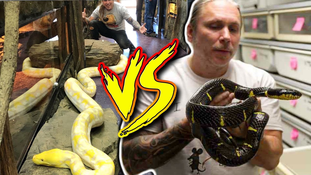REPTILE ZOO vs BHB Reptiles!! Pros and Cons!!! | BRIAN BARCZYK