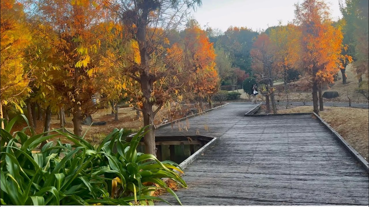 Jera Park Hekinan Aichi Japan Autumn 🍂 Days and winter weather month of December 