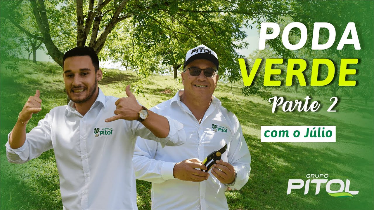 #NOGUEIRAPECÃ | Aprenda a PODAR uma muda de NOGUEIRA PECÃ em 12 minutos.