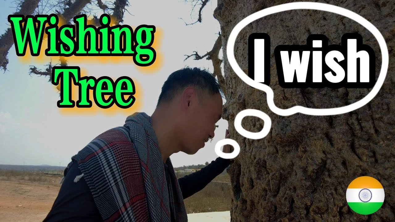 🇮🇳 Wishing tree in Orchha? More Orchha temples, ghats and sights in Episode 8, Part 2 (subtitle)