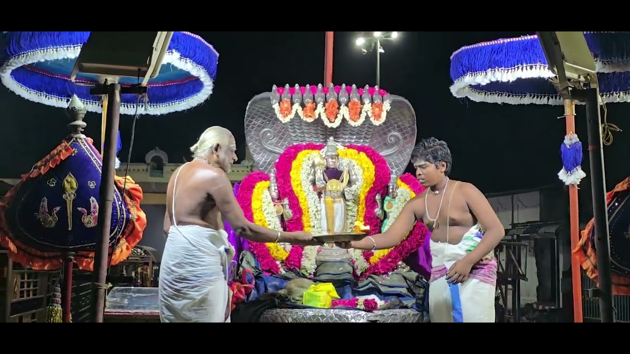 வெள்ளி நாக(சேஷ) வாகனத்தில் முருகப்பெருமான் வள்ளி-தெய்வயானை தாயாருடன் பக்தர்களுக்கு காட்சியளித்தார்.