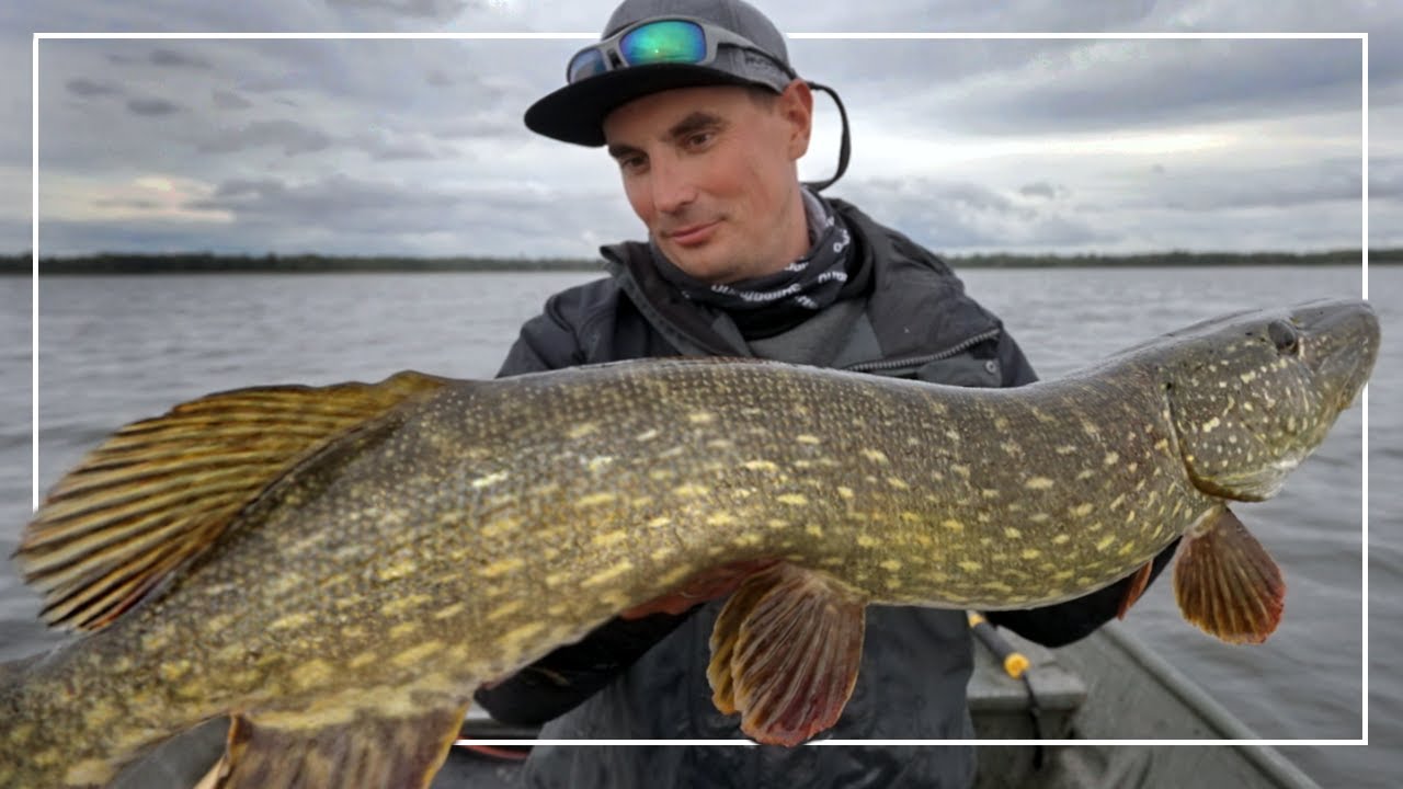 Szukając TEGO JEDNEGO, wielkiego szczupaka | Takern Trip Pt. 3 |S12Ep28