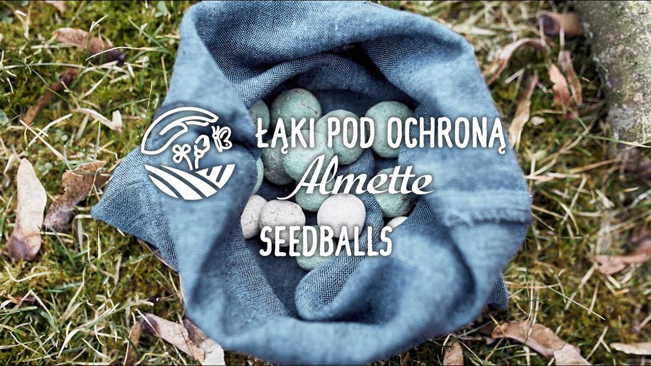 Łąki pod ochroną Almette. Odc. 2: Seedballs