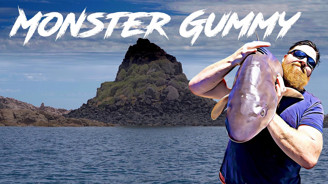 Залив Вестернпорт - Монстр Гамми - Пирамидальные скалы