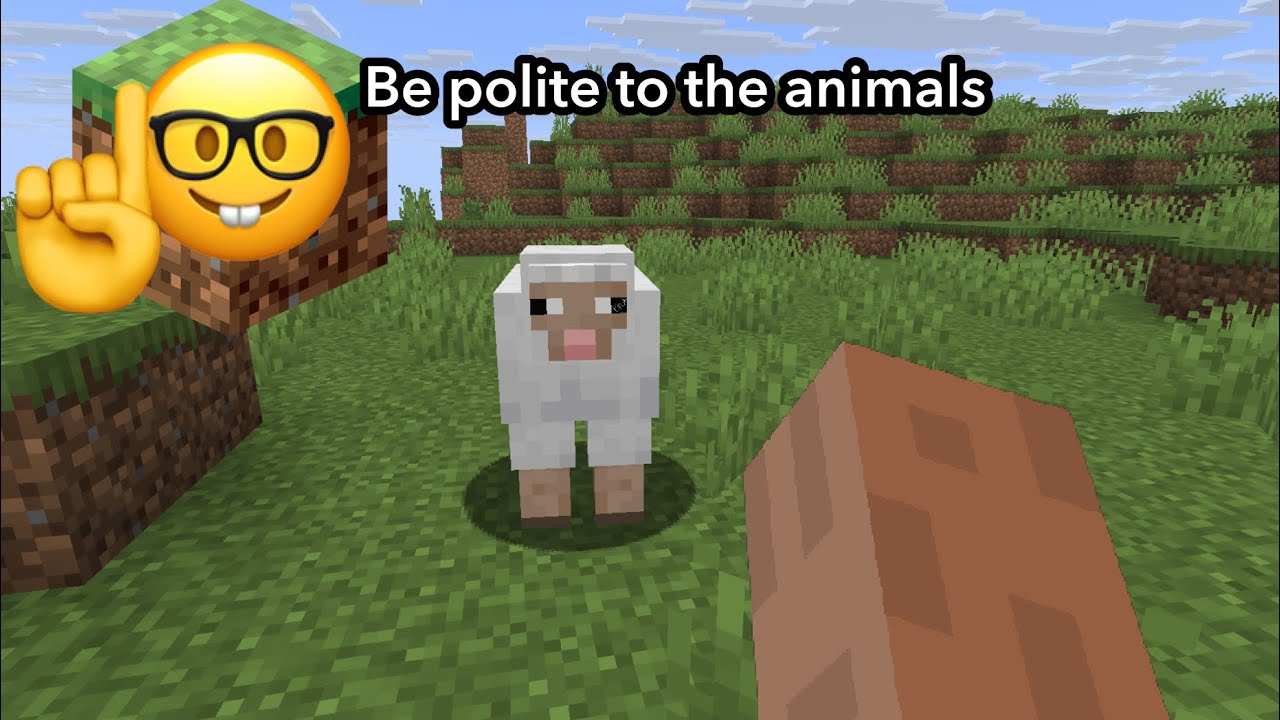 Minecraft but  I have to be polite 