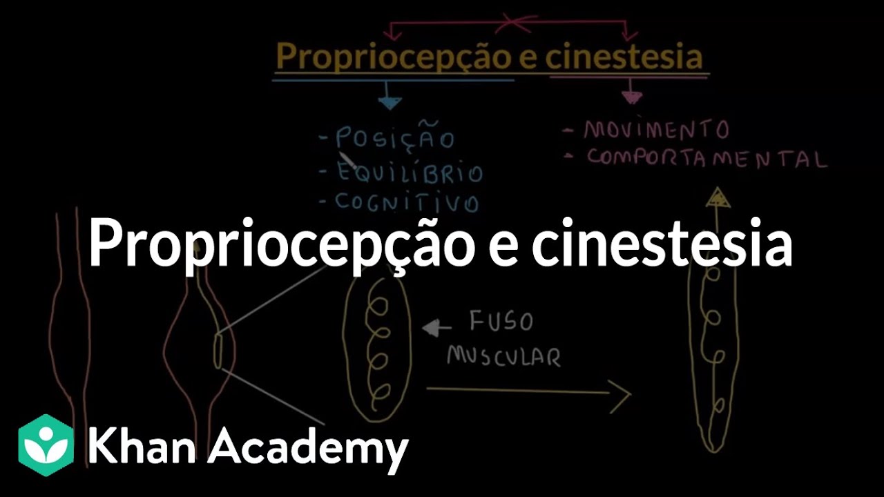 Propriocep&ccedil;&atilde;o e cinestesia