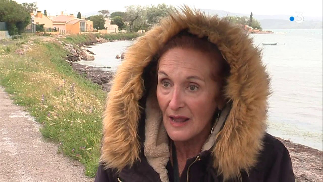 Sète : les plaisanciers de l'étang de Thau menacés de fortes amendes