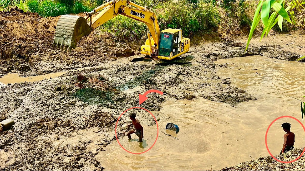 Excavator came to build a pond, this place is really full of fish #komatsuexcavator