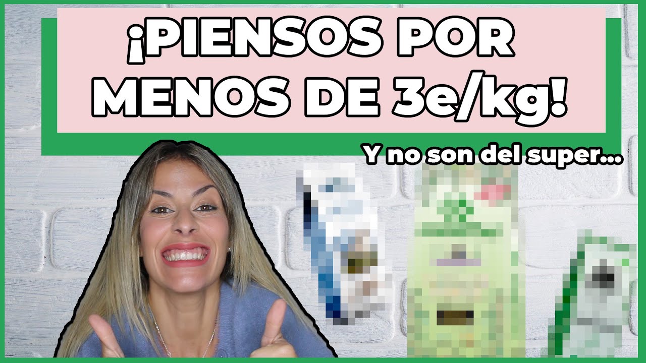 PIENSOS PARA PERROS BARATOS Y DE CALIDAD👌 | &iexcl;Y tambi&eacute;n de GATOS!😻