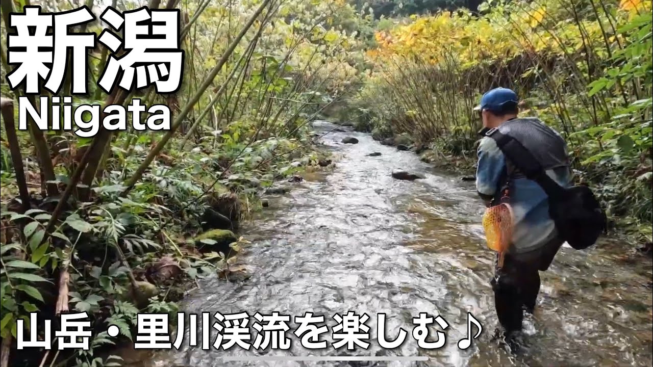 新潟遠征　山岳渓流と里川を楽しむ渓流釣り