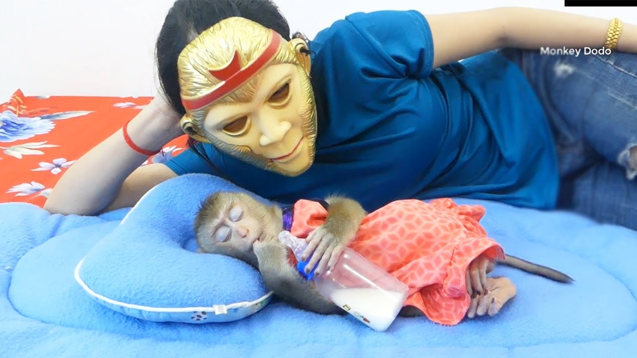 W0w Mum P-R-A-N-K! Zuji Absolutely Reaction Most Fun After Wake-Up See Mom's Face