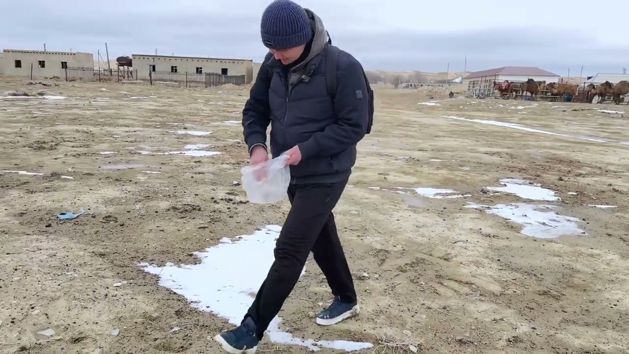 2 марта 2026 г.