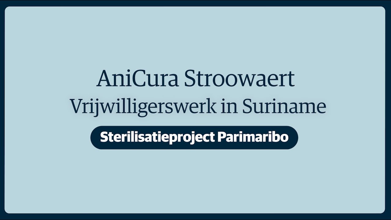 Vrijwilligerswerk in Parimaribo - AniCura Dierenziekenhuis Stroowaert