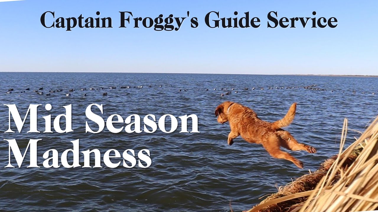 Mid Season Madness | NC Open Water Duck Hunting with Capt Froggy's Guide Service