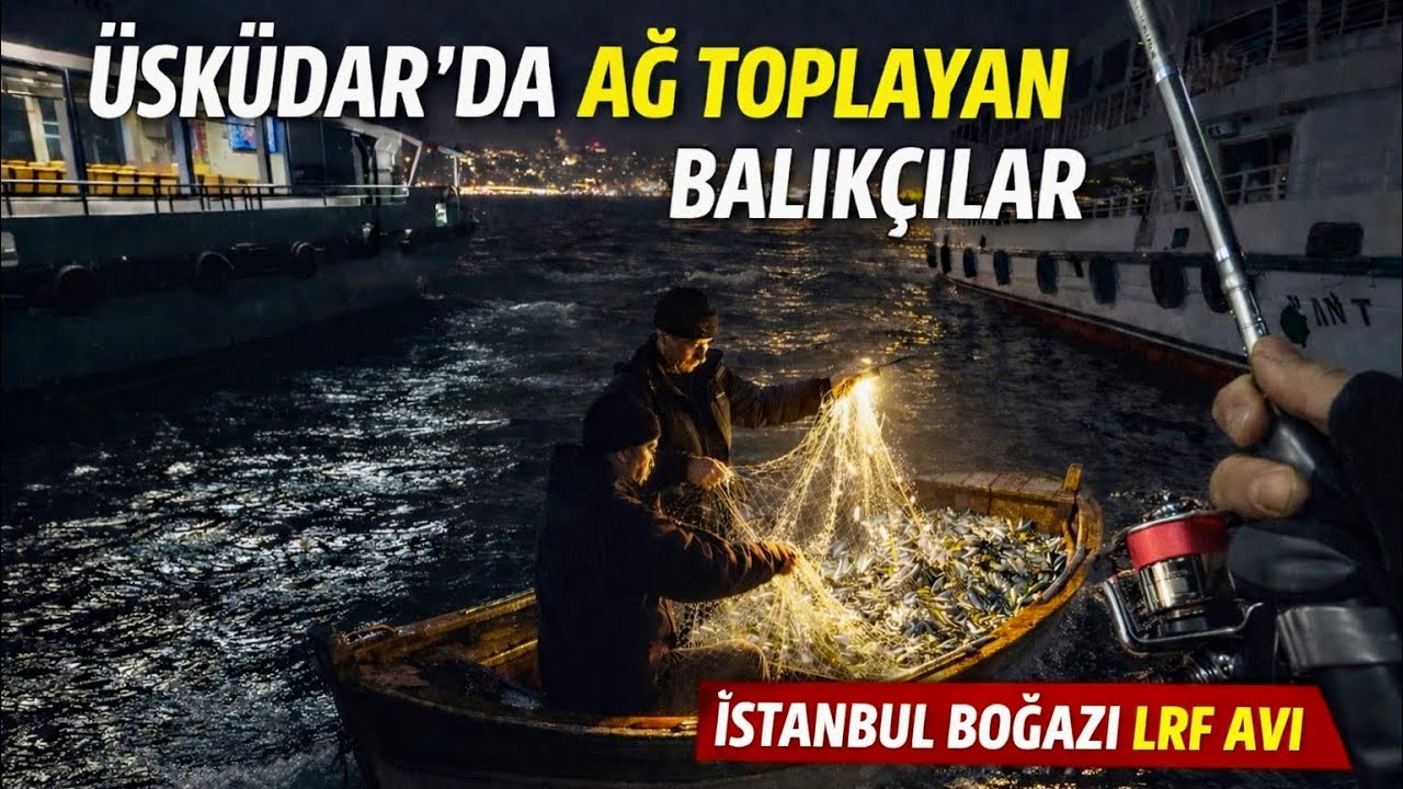 Ağcılar Üsküdar'ı sarmış!|İstanbul Boğazı LRF AVI|Ağların arasında LRF ile istavrit aradık!