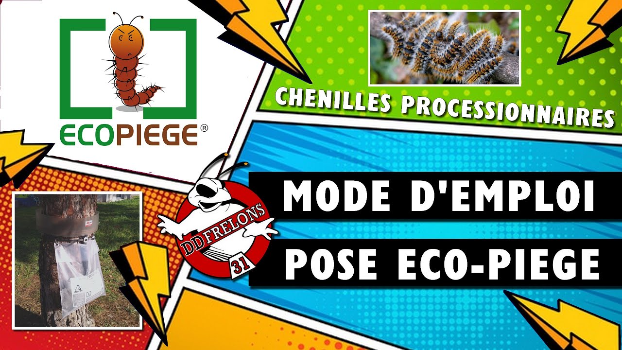 Pi&egrave;ge &agrave; CHENILLE Processionnaire (Mode d'emploi de la pose d'un Eco-Pi&egrave;ge)