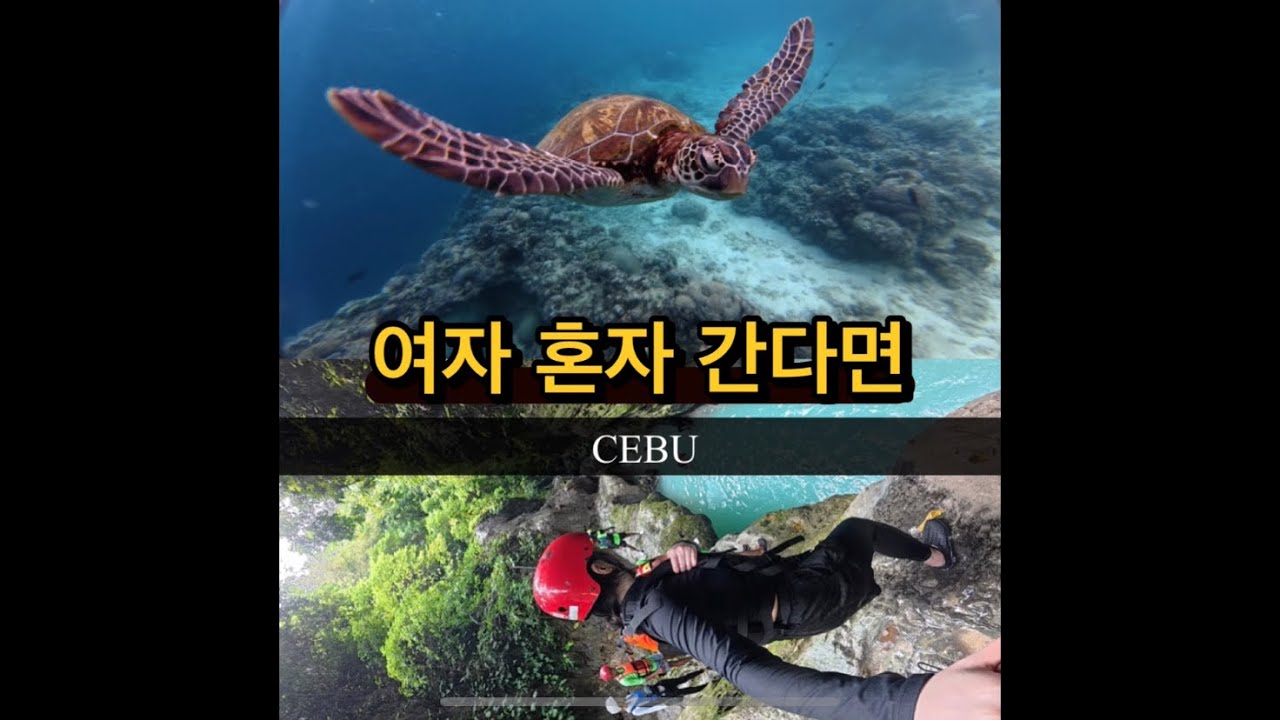 세부 마지막날🌊여자 혼자 모알보알🐢&캐녀닝🌴리뷰(나홀로 조인투어)로컬페이지 상세후기