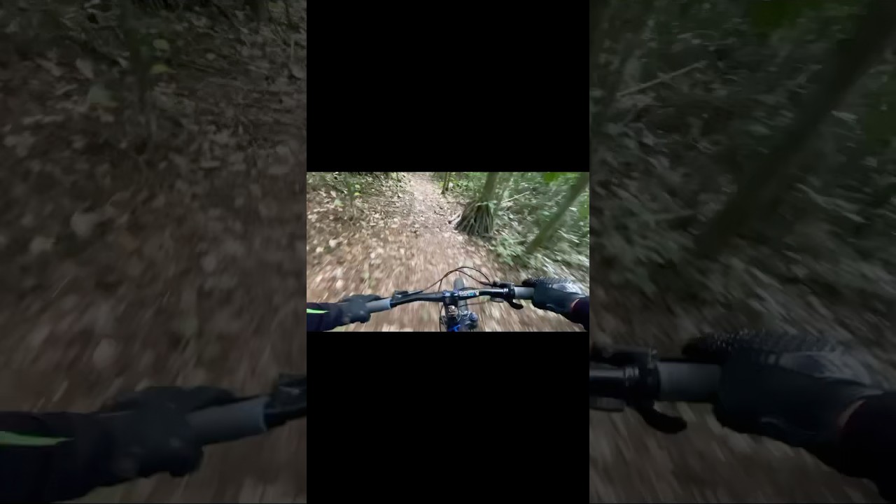 DESCUBRIENDO UN SENDERO MUY RECOMENDABLE 