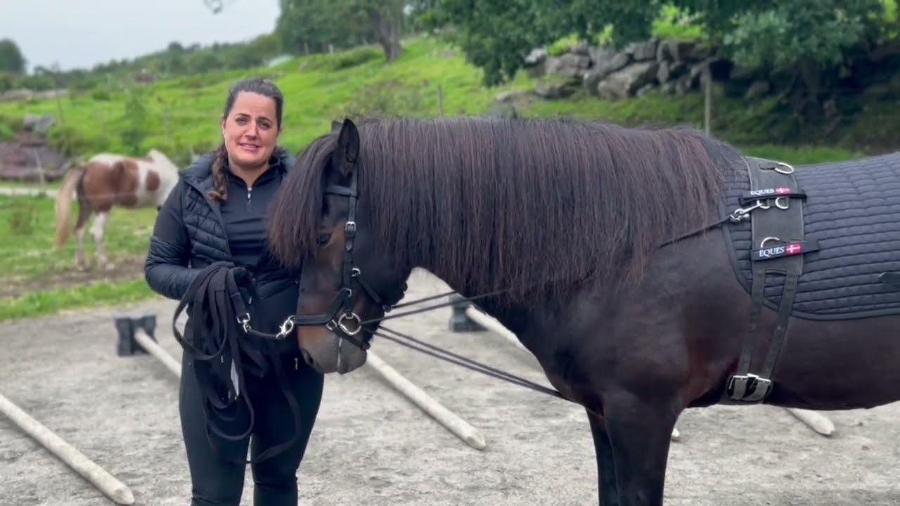 Hestenes treningsplan | Tonje Frandsen Holte VLOG5