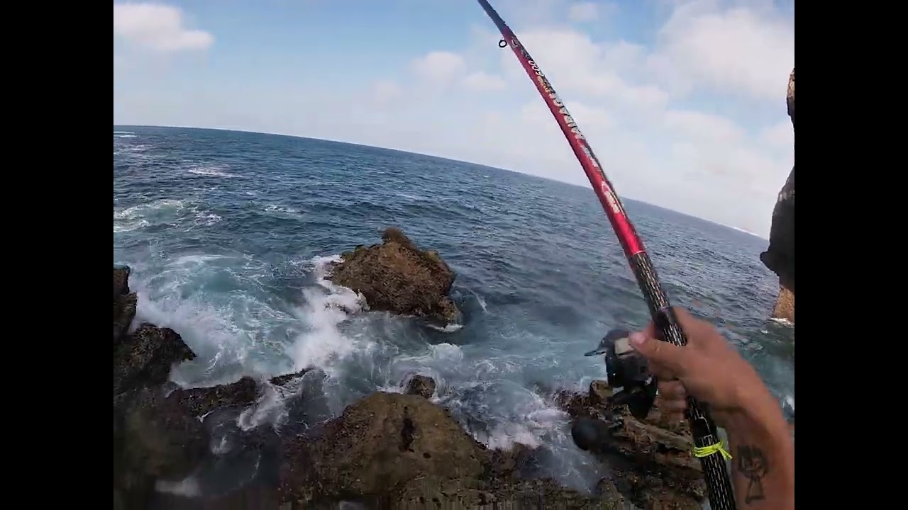 Aos sargos na Papoa 🎣