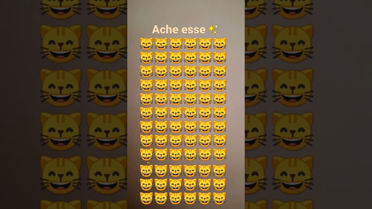 versão Hardy MT difícil