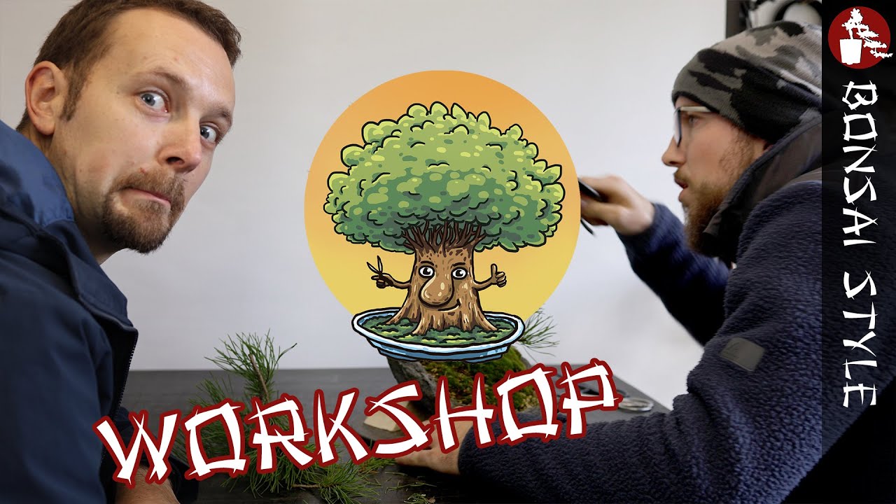 Kiefern Workshop bei Dennis von Happy Bonsai | #127
