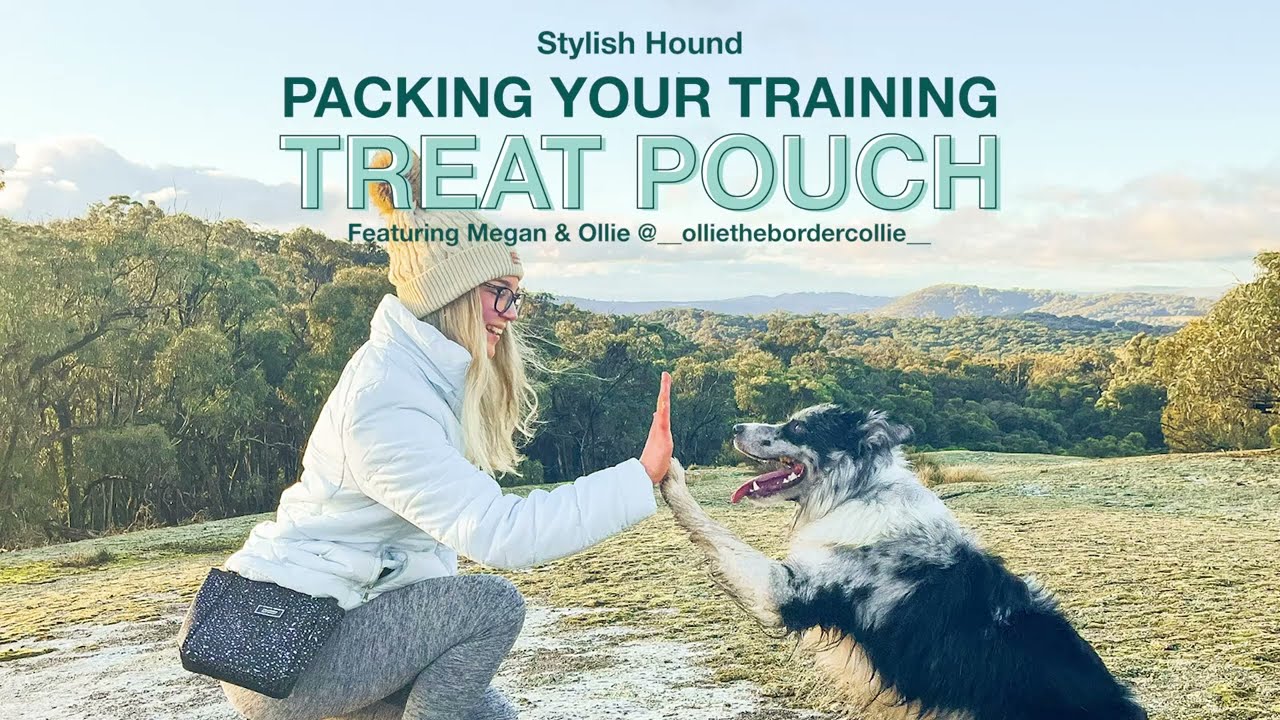 TRAINING TREAT POUCH | STYLISH HOUND