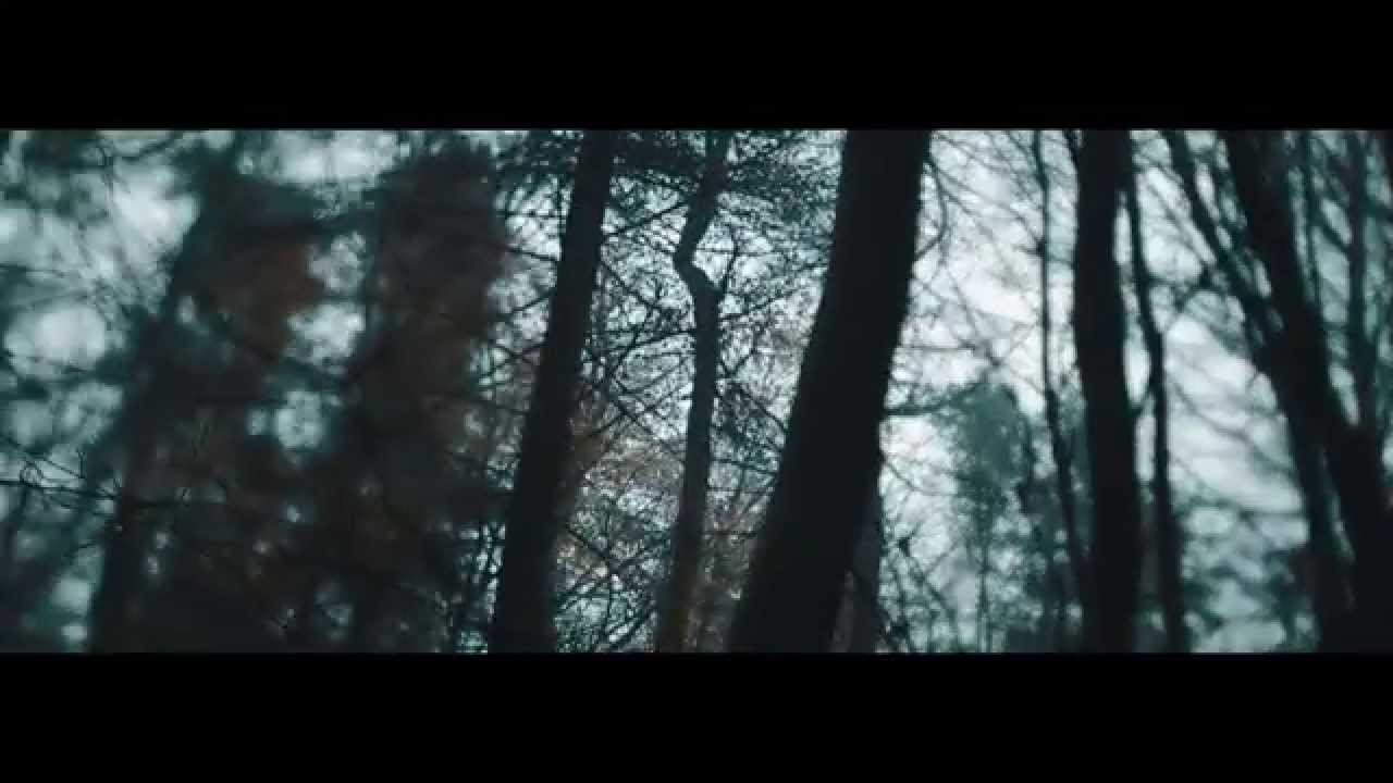 Palm Reader - I Watch The Fire Chase My Tongue (Official Music Video)