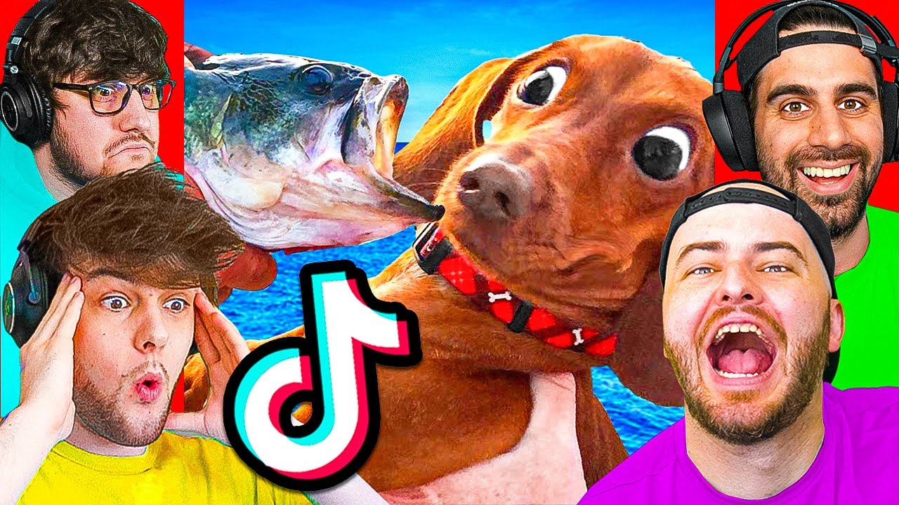TRY NOT TO LAUGH CHALLENGE ( Funny TikTok Animals)