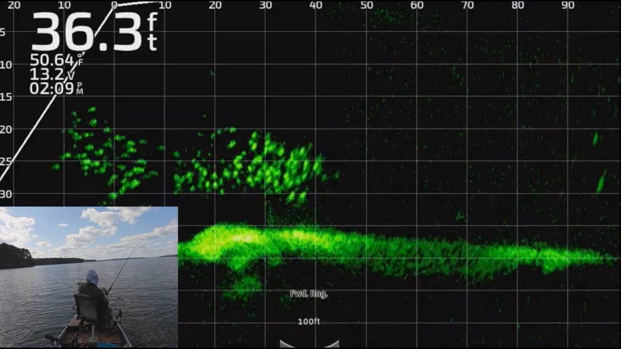 Ловля окуня с LiveScope Plus! Полноэкранное видео LiveScope!!! Озеро Клэйборн — поездка №6, 2023