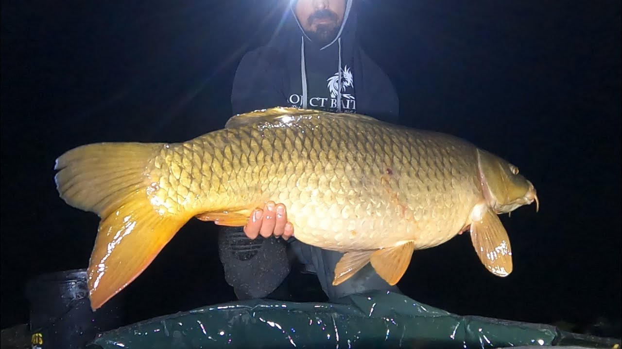 Carpfishing Bolsena! La sessione della vita!