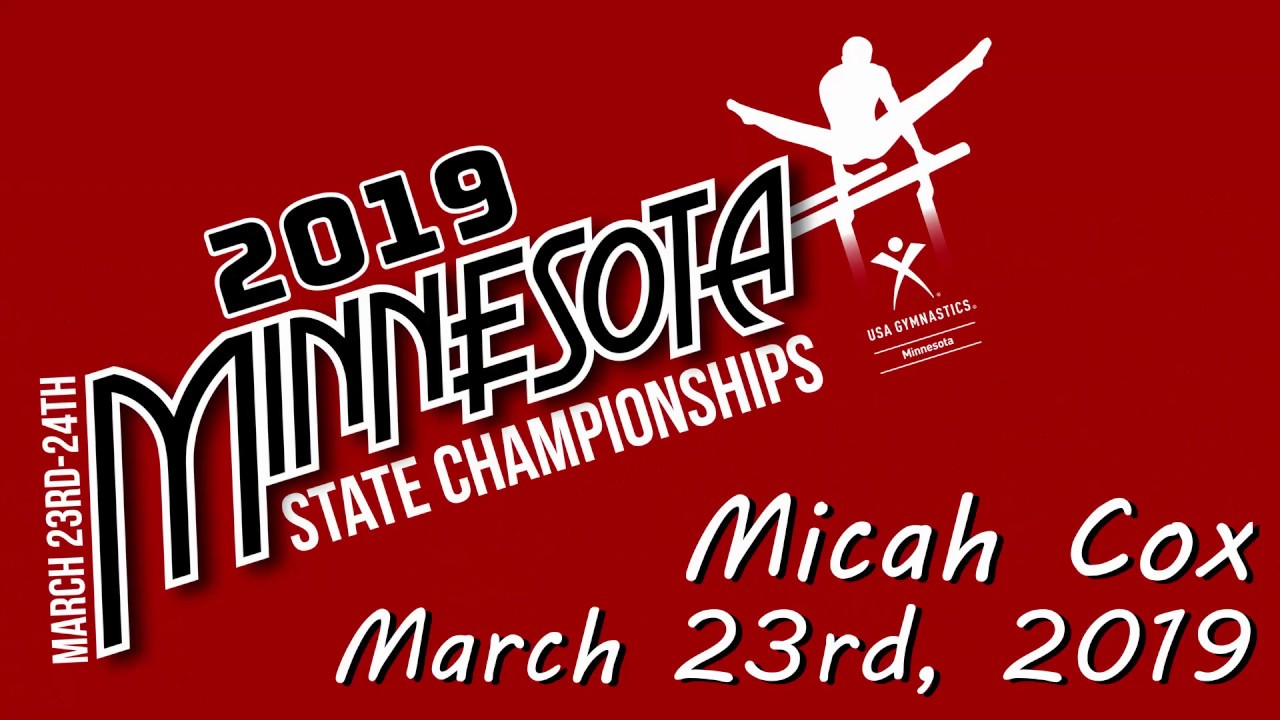 Level 6 Men's Gymnastics  -  Minnesota State Championships 2019  -  Micah Cox