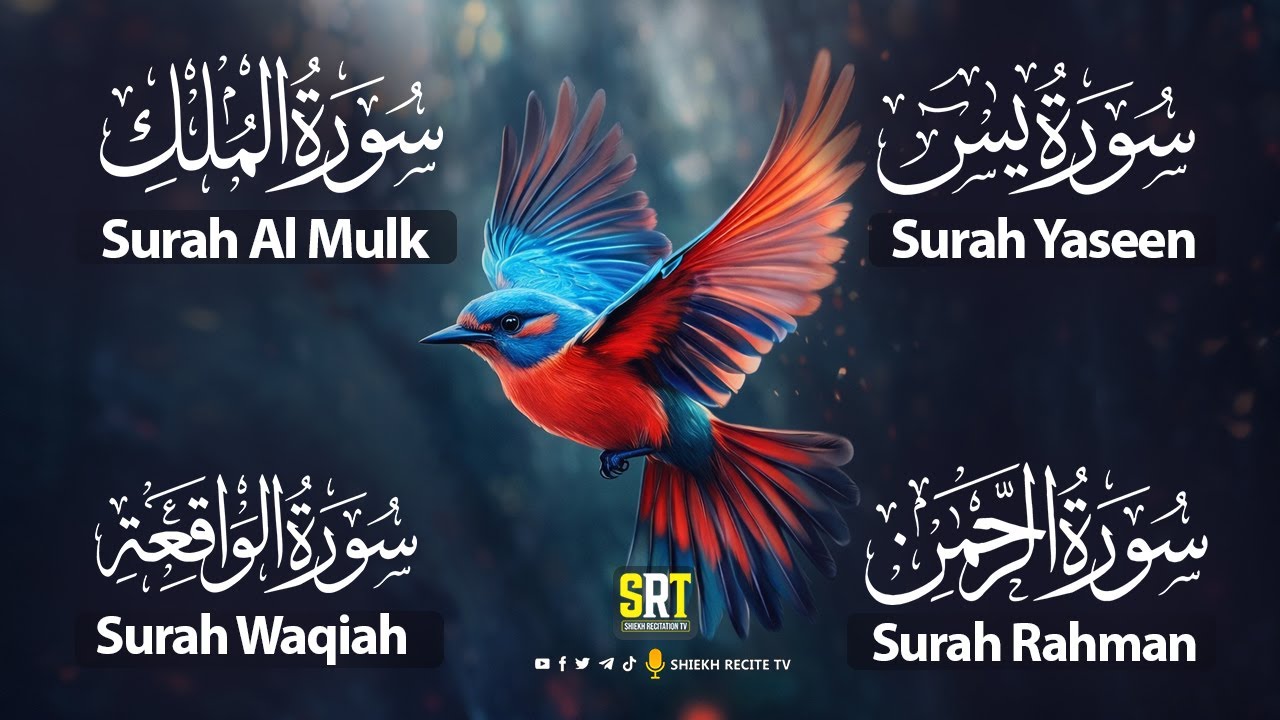 Beautiful Quran For Sleep Surah Yasin ,Ar-rahman- Mulk- Waqiah | Relaxing Recitation | 