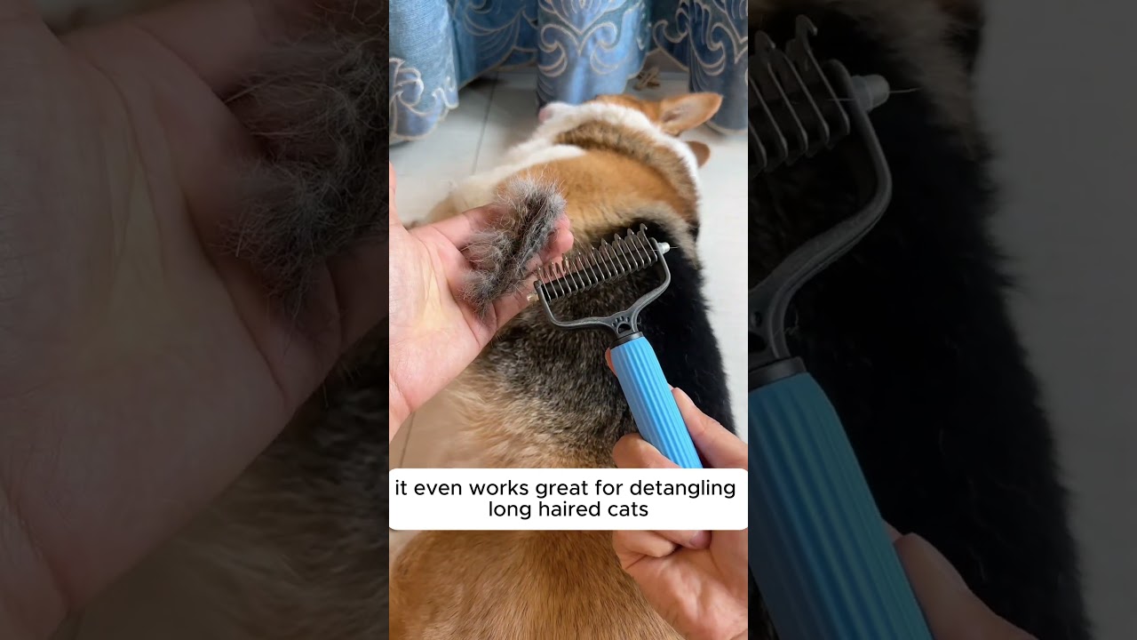 Keep your pet&rsquo;s coat looking perfect with this Deshedding Comb Grooming Brush&mdash;grab one now! 🐱✨