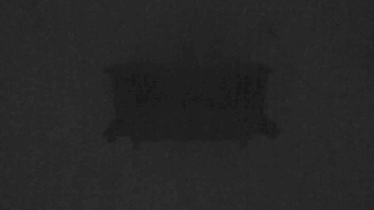 Livestream der Turmfalken-Kamera an der Grundschule Dehme