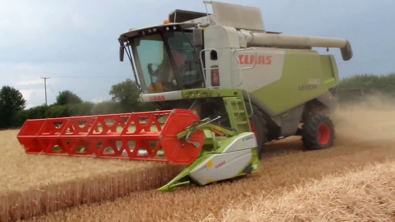 Claas Lexion 630 Cutting Wheat