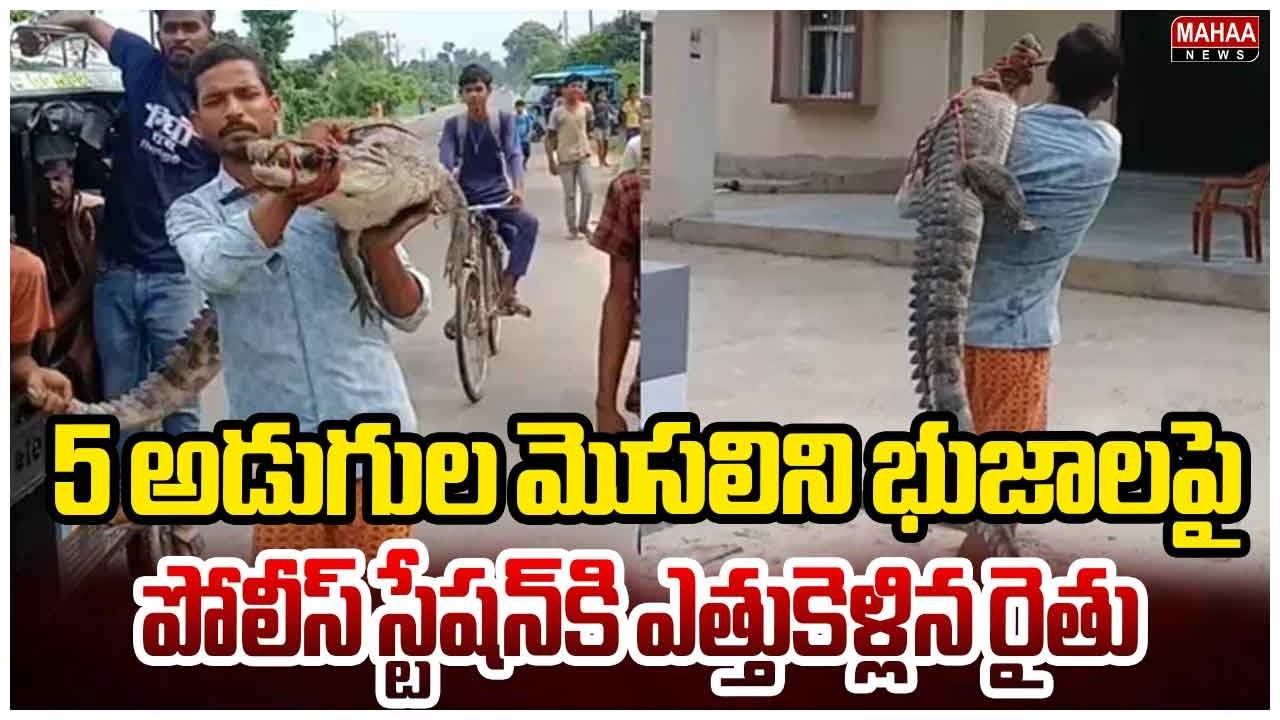 5 అడుగుల మెుసలిని భుజాలపై పోలీస్&zwnj; స్టేషన్&zwnj;కి ఎత్తుకెళ్లిన రైతు | Bihar Farmer Carries Live Crocodile