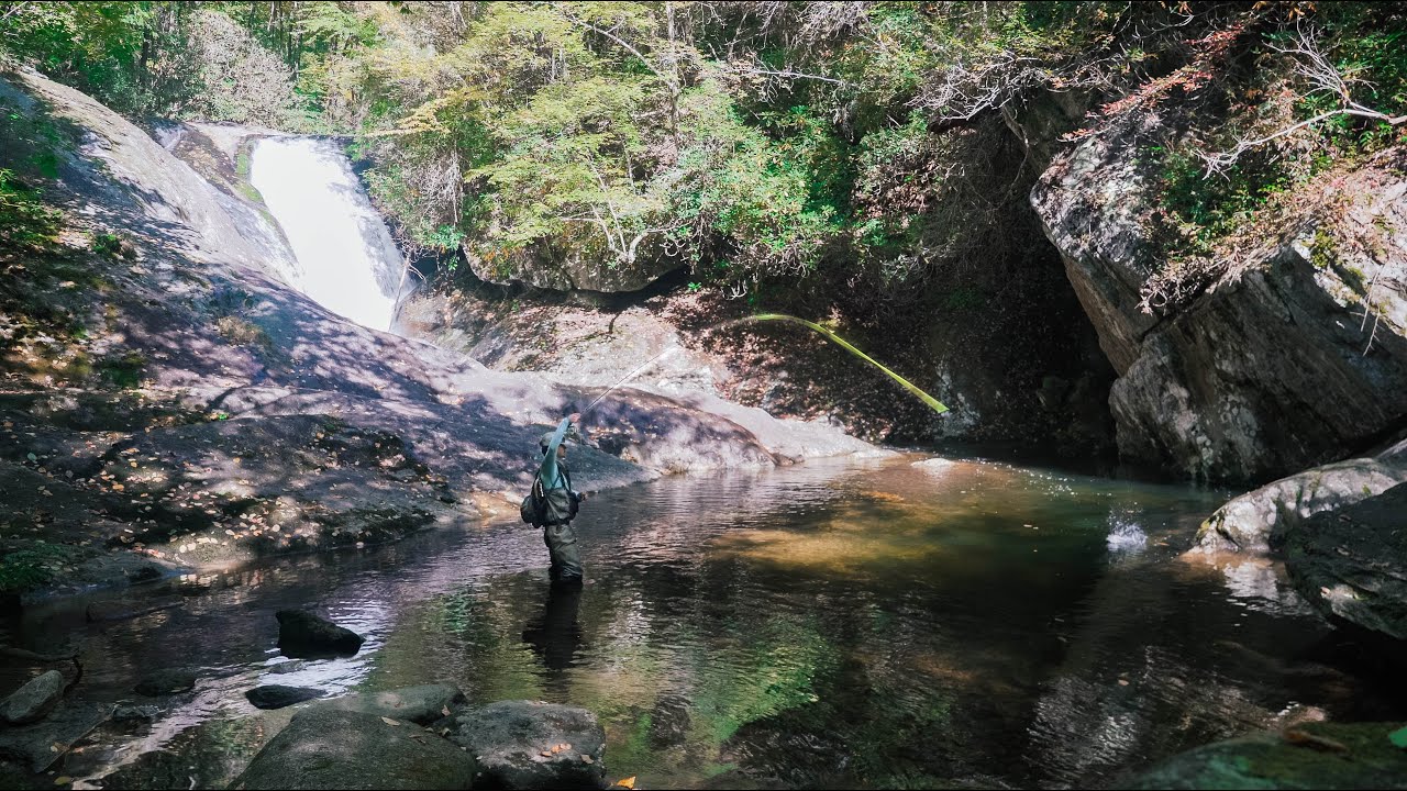 Exploring Remote Trout Stream in the Appalachian Backcountry | Backpacking & Fly Fishing