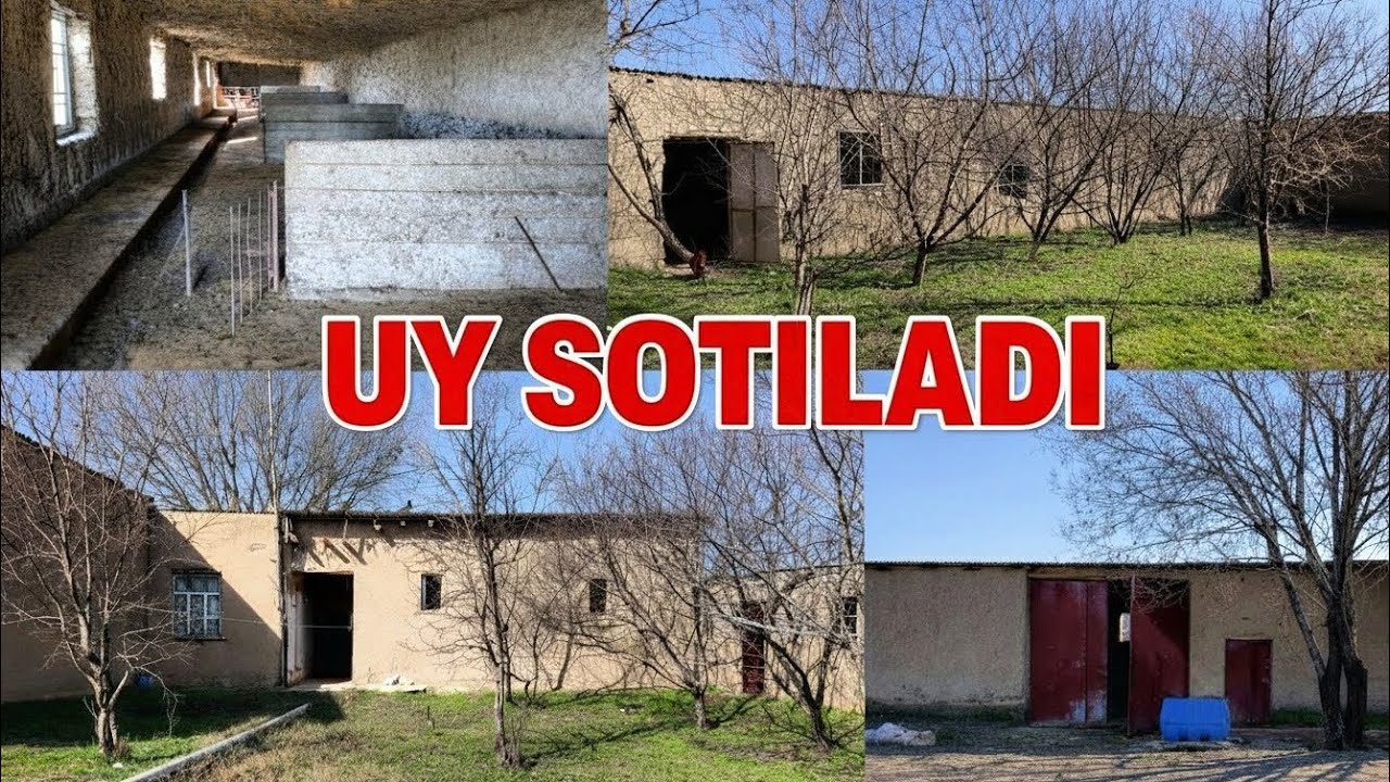 TAYYOR MINE FERMA UY UCHASTKA SOTILADI.JUDA ARZON NARXDA TEZ KURING.