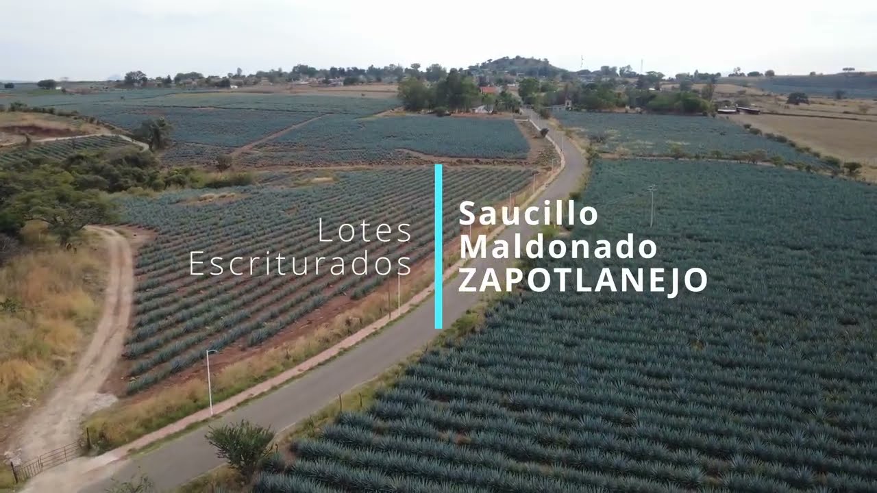 Informativo Lotes en Saucillo