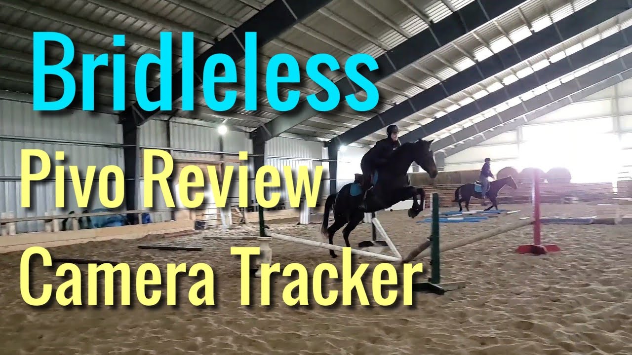 Pivo review while bridleless riding.... a video tracking solution